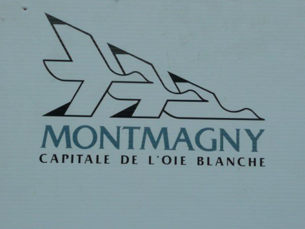 Carrefour mondial de l’accordéon (11/54)